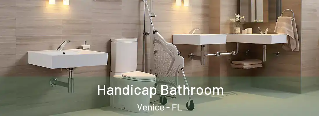 Handicap Bathroom Venice - FL