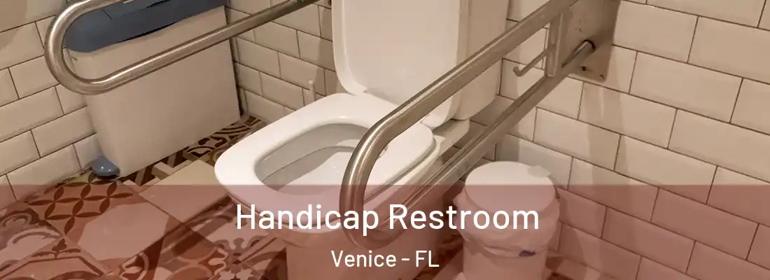 Handicap Restroom Venice - FL